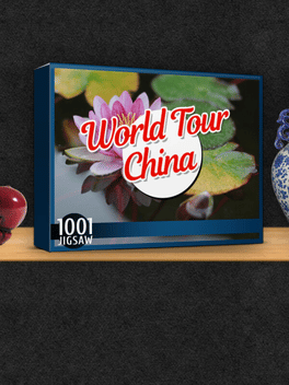 Affiche du film 1001 Jigsaw World Tour China poster