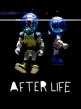 Affiche du film Afterlife poster