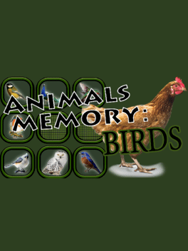 Affiche du film Animals Memory: Birds poster