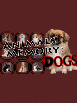 Affiche du film Animals Memory: Dogs poster