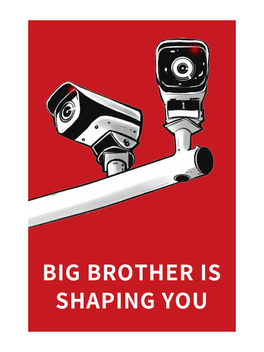 Affiche du film Big Brother Is Shaping You poster