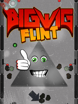 Affiche du film Bigwig Flint poster