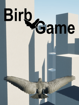 Quelle configuration minimale / recommandée pour jouer à Birb Game ?