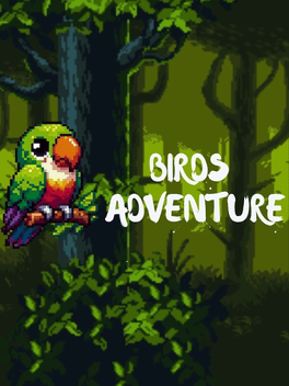 Quelle configuration minimale / recommandée pour jouer à Birds Adventure ?