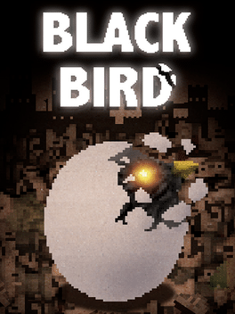 Affiche du film Black Bird poster