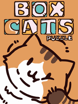 Affiche du film Box Cats Puzzle poster