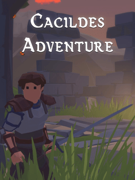 Affiche du film Cacildes Adventure poster