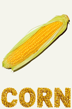 Affiche du film Corn poster