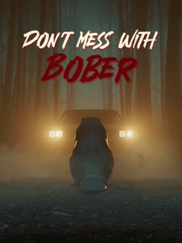 Quelle configuration minimale / recommandée pour jouer à Don't Mess With Bober ?