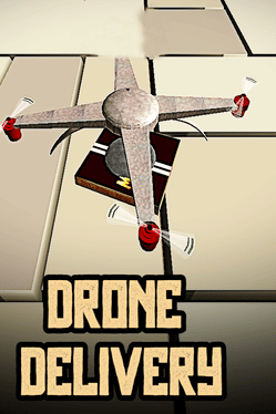 Affiche du film Drone Delivery poster