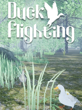 Affiche du film Duck Flighting poster