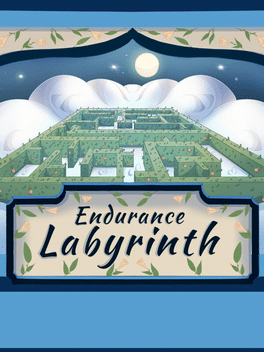 Affiche du film Endurance Labyrinth poster