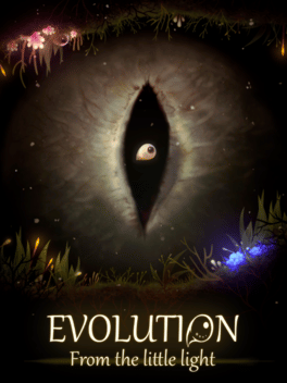 Quelle configuration minimale / recommandée pour jouer à Evolution: From the Little Light ?