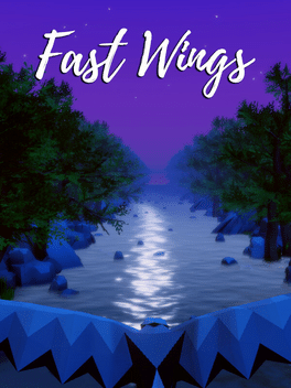 Affiche du film Fast Wings poster