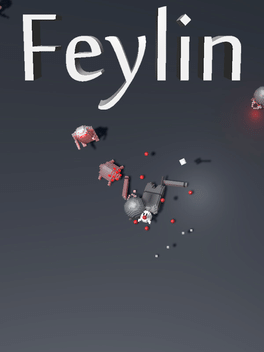 Affiche du film Feylin poster