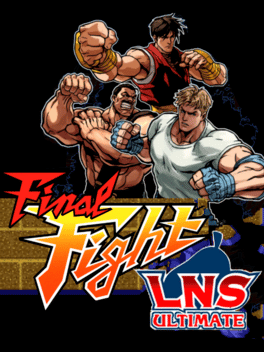 Affiche du film Final Fight LNS Ultimate poster