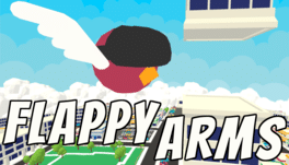 Affiche du film Flappy Arms poster