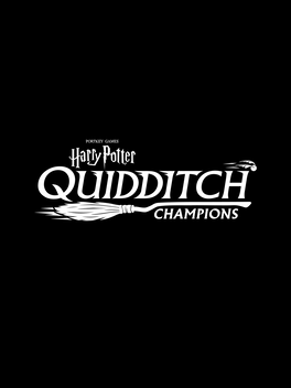 Affiche du film Harry Potter: Quidditch Champions poster