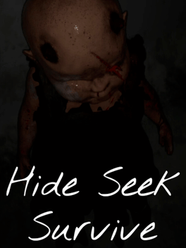 Affiche du film Hide Seek Survive poster