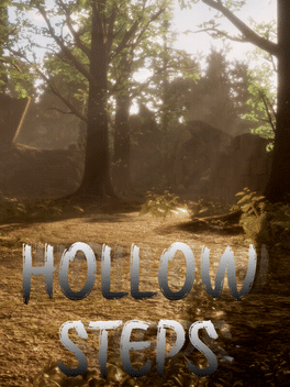 Affiche du film Hollow Steps poster