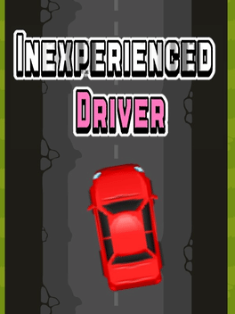 Affiche du film Inexperienced Driver poster