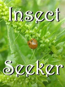 Affiche du film Insect Seeker poster