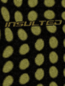 Affiche du film Insulted poster