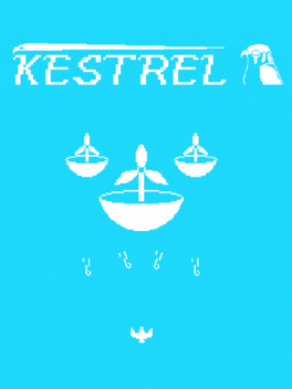 Affiche du film Kestrel poster