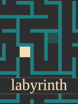 Affiche du film Labyrinth poster