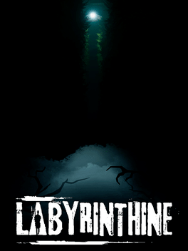 Affiche du film Labyrinthine poster