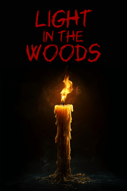 Quelle configuration minimale / recommandée pour jouer à Light in the Woods ?
