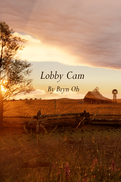 Affiche du film Lobby Cam by Bryn Oh poster