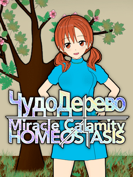 Affiche du film Miracle Calamity Homeostasis poster