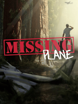 Affiche du film Missing Plane: Survival poster