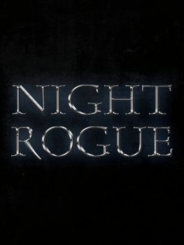 Affiche du film Night Rogue poster