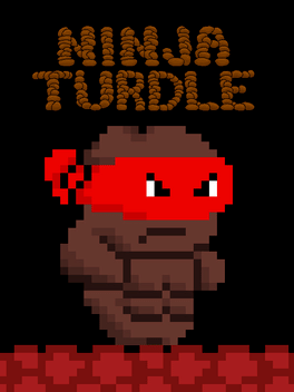 Affiche du film Ninja Turdle poster