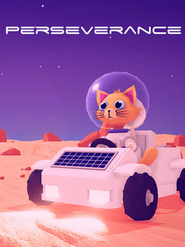 Affiche du film Perseverance poster