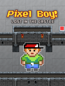 Affiche du film Pixel Boy: Lost in the Castle poster