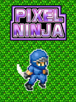 Affiche du film Pixel Ninja poster