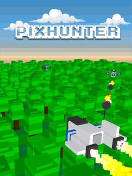 Affiche du film PixHunter poster