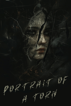 Affiche du film Portrait of a Torn poster