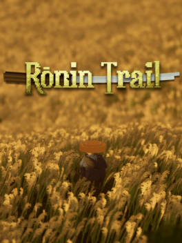 Affiche du film Ronin Trail poster