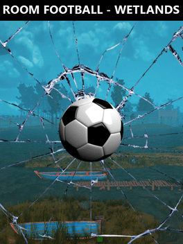 Quelle configuration minimale / recommandée pour jouer à Room Football: Wetlands ?