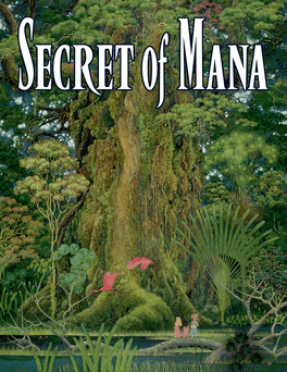 Affiche du film Secret of Mana poster