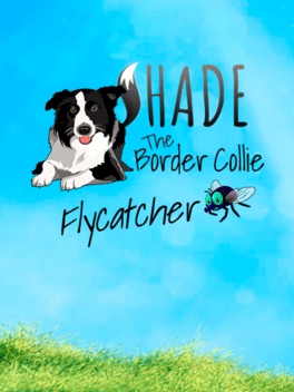 Affiche du film Shade: The Border Collie Flycatcher poster