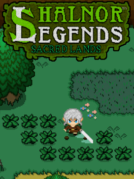 Affiche du film Shalnor Legends: Sacred Lands poster