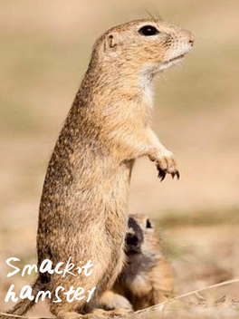 Affiche du film Smackit Hamster poster