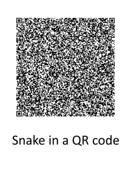 Affiche du film SnakeQR poster