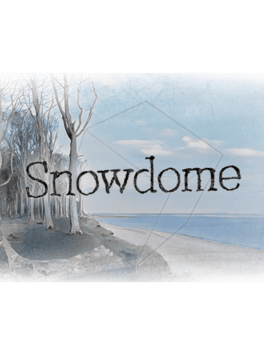 Affiche du film Snowdome poster