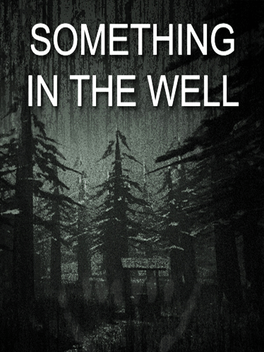 Affiche du film Something In The Well poster